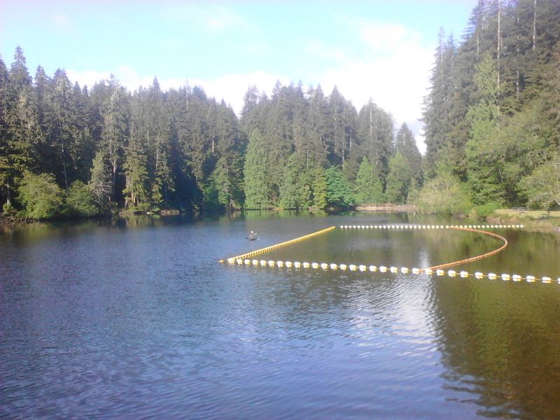 Splash Time and Paddle Adventures