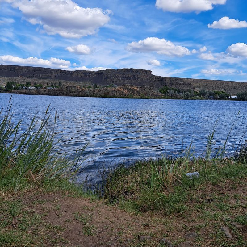 Splashing, Picnics, And A Kid-Approved Shoreline Splashing, Picnics, And A Kid-Approved Shoreline
