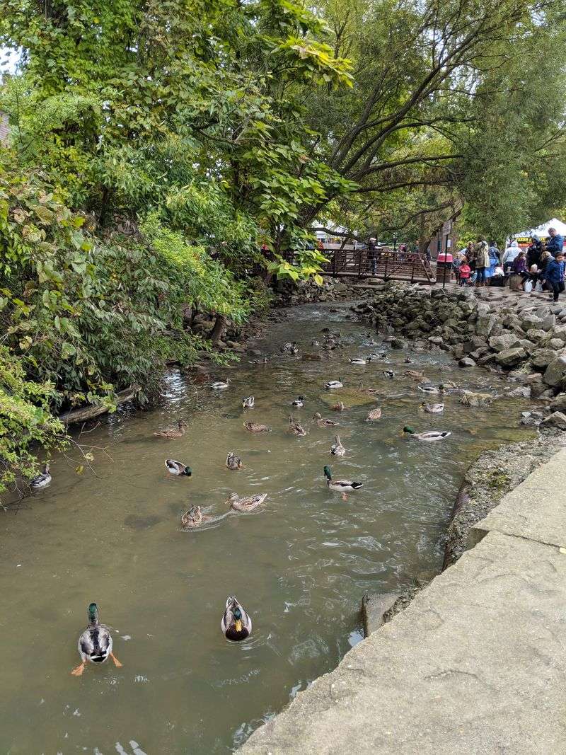 Read The River, Then The Board