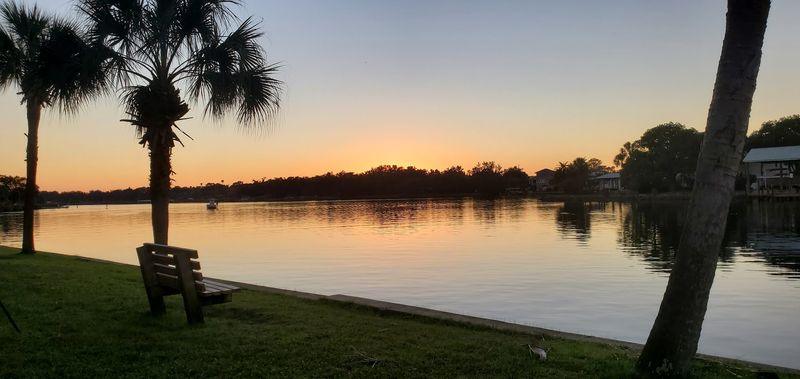 Tarpon Springs Aquarium And Animal Sanctuary: Splash And Wonder