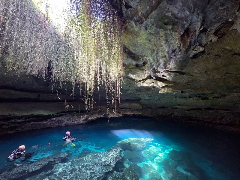 Devil's Den Prehistoric Spring, Williston
