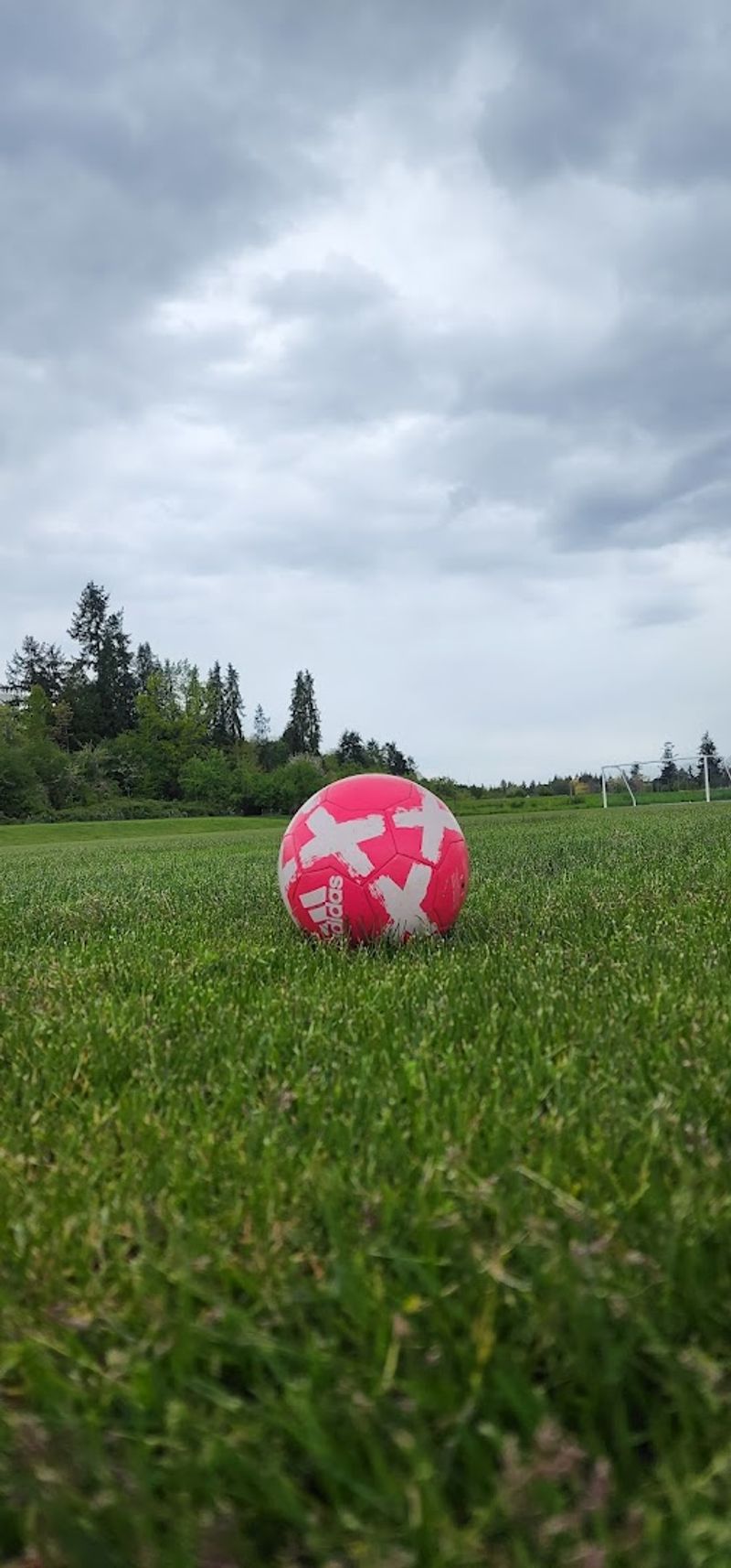Sports Fields Dor Every Kind Of Competitor