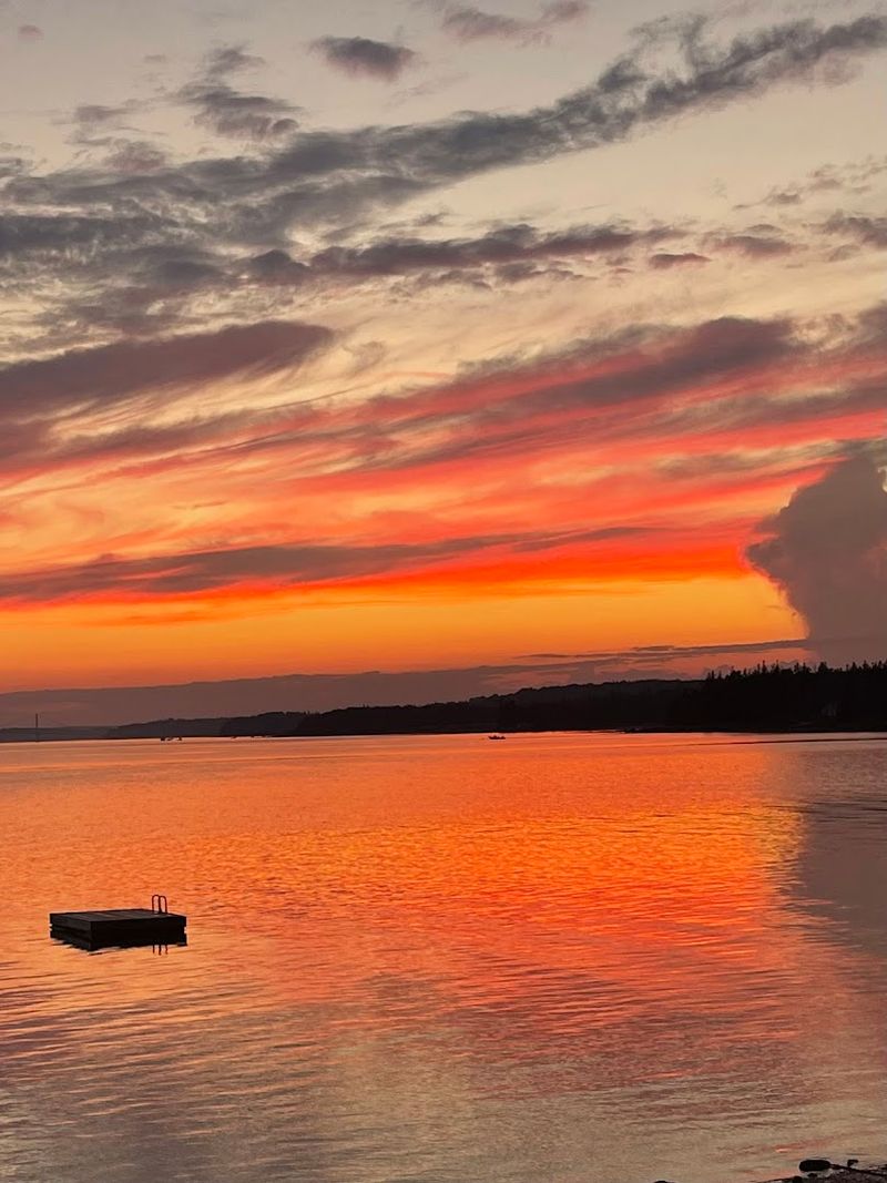 Fresh Lobster Delivered Right To Your Campsite