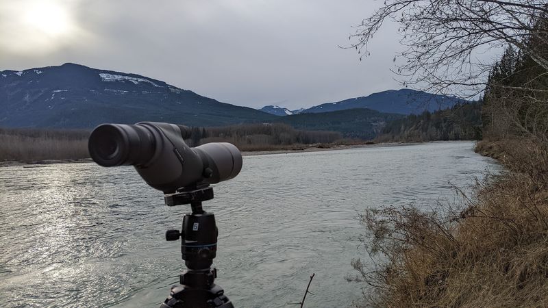 Spotting Scopes and Bridge Views
