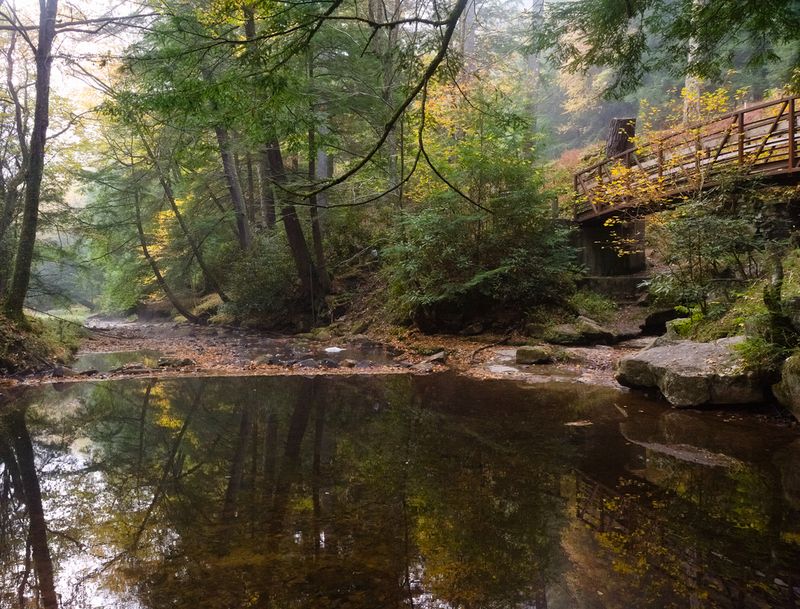 Spring And Fall Are The Best Seasons To Visit Spring And Fall Are The Best Seasons To Visit