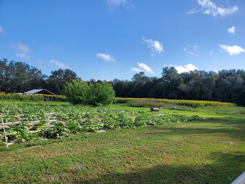 Spring And Fall Festivals Transform The Farm Into Seasonal Wonderlands