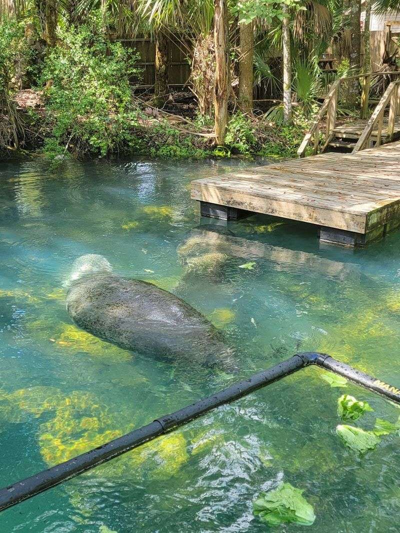 Walking The Springs: Scenery You Can Feel