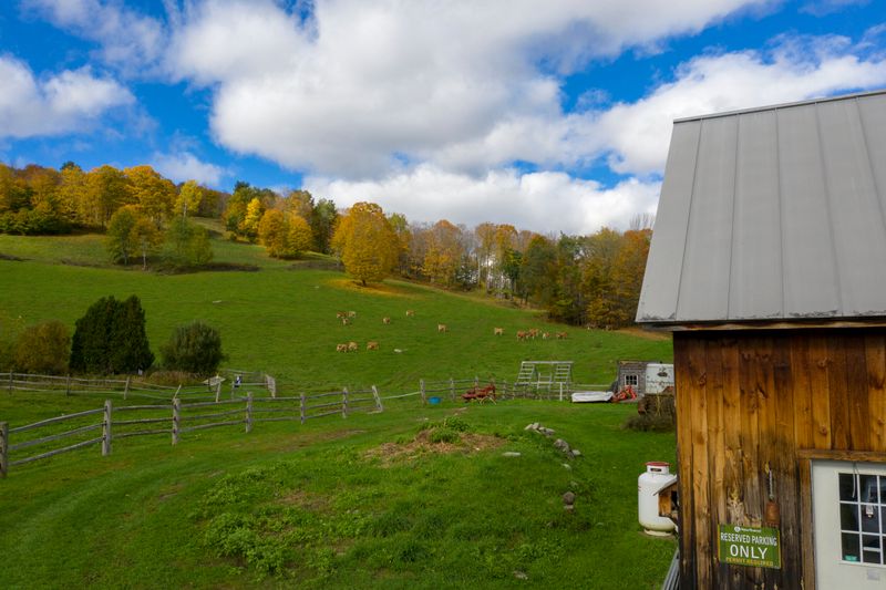 Thistle Hill Farm: Organic Swiss Tradition