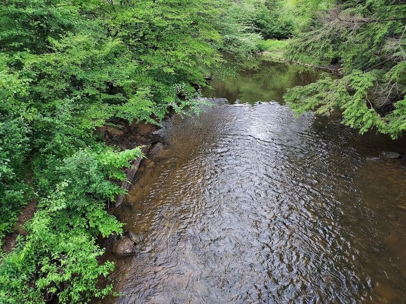 Spring Creek Horse Trail, Allegheny National Forest, Pennsylvania