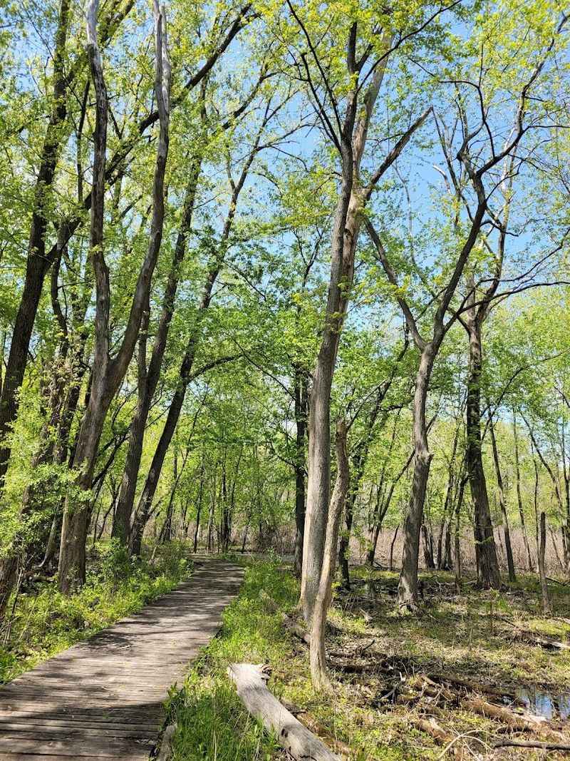 The Lost Beach Trail 