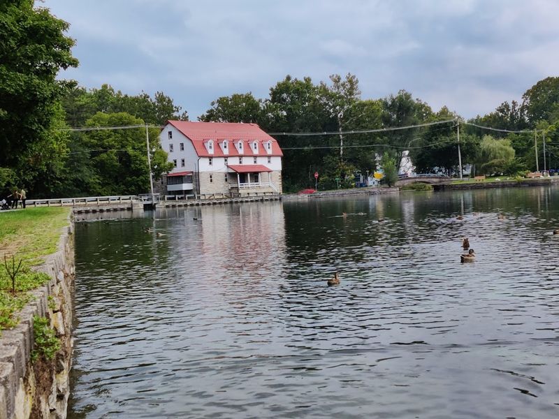 Easy to Find and Free to Enjoy