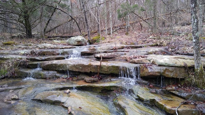 Spring-Fed Scenery Along The Descent