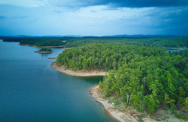 Strict Conservation Policies Preserving Natural Purity