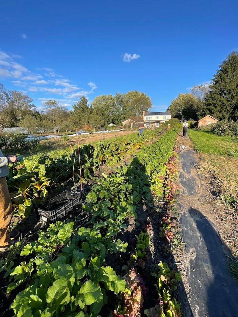 Spring Greenhouse And Produce Finds At Michigan U-Pick Farms