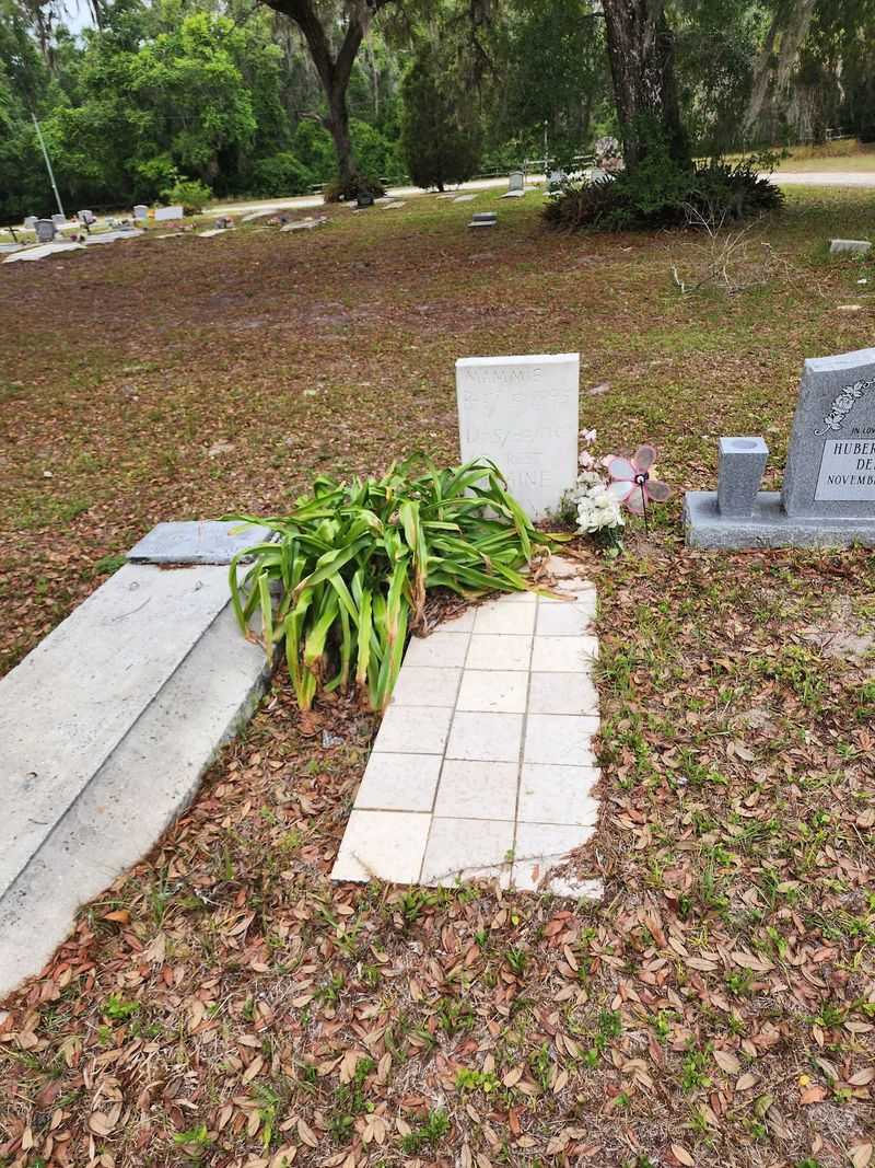 Spring Hill Cemetery, Brooksville Spring Hill Cemetery, Brooksville