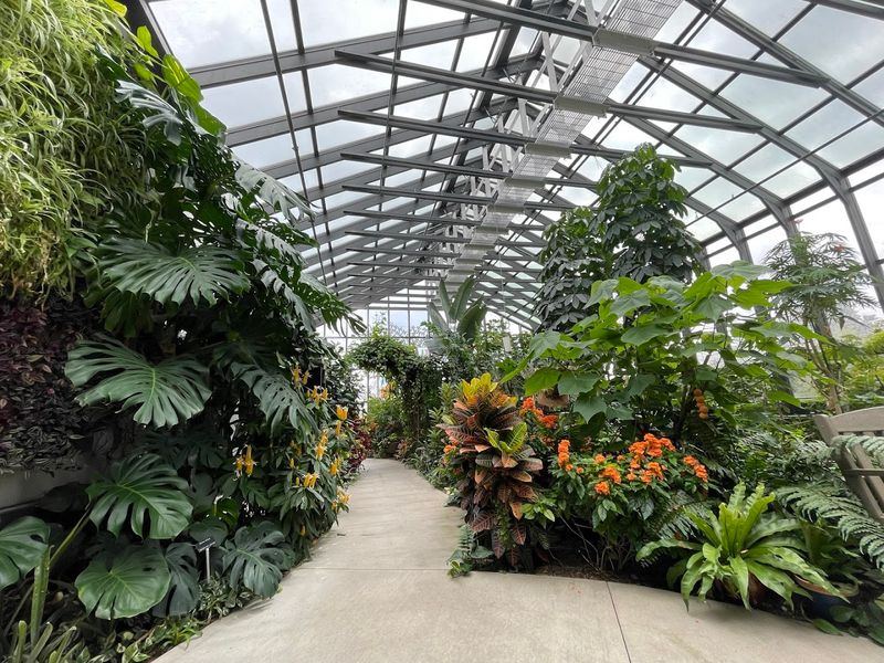 The Gift Shop and Orchid Display Deserve Their Own Mention