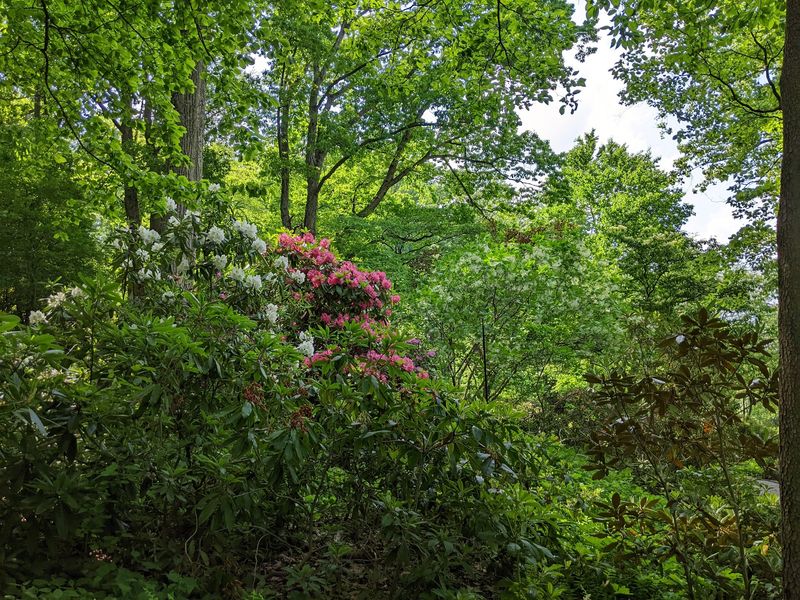 Spring Is the Star of the Show