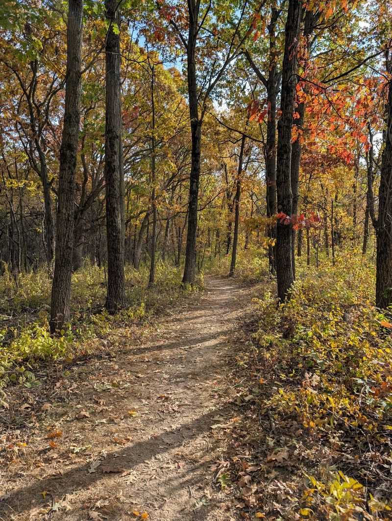 Spring Lake Nature Preserve