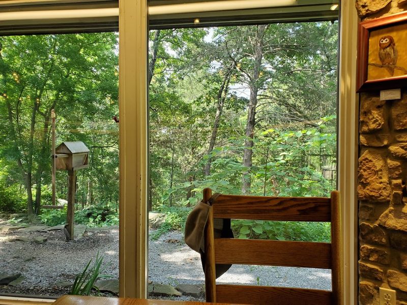 Tables Facing A Wooded Backdrop