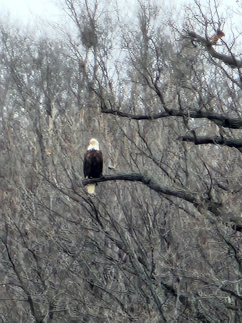 The Refuge Hosts An Impressive Variety Of Bird Species
