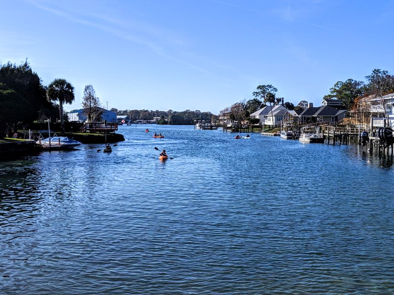 Scallop Season Adventures on the Gulf
