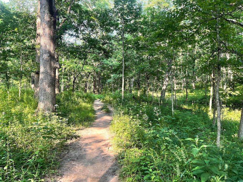 Ancient Glacial Terrain Shapes Every Trail