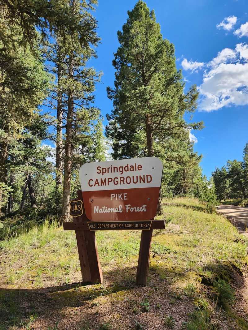 Springdale Campground - Near Woodland Park