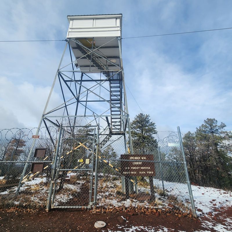 Springer Mountain Fire Lookout