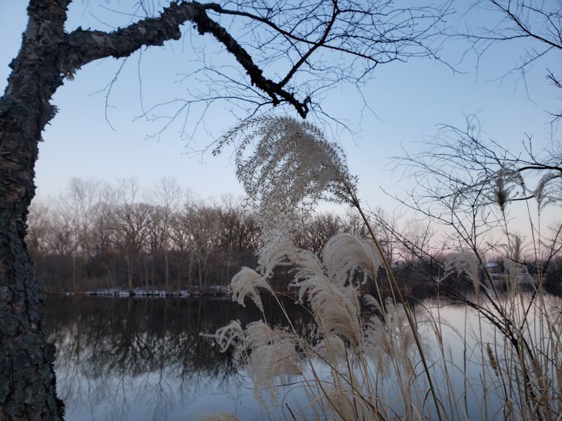 Lake Forest, Illinois