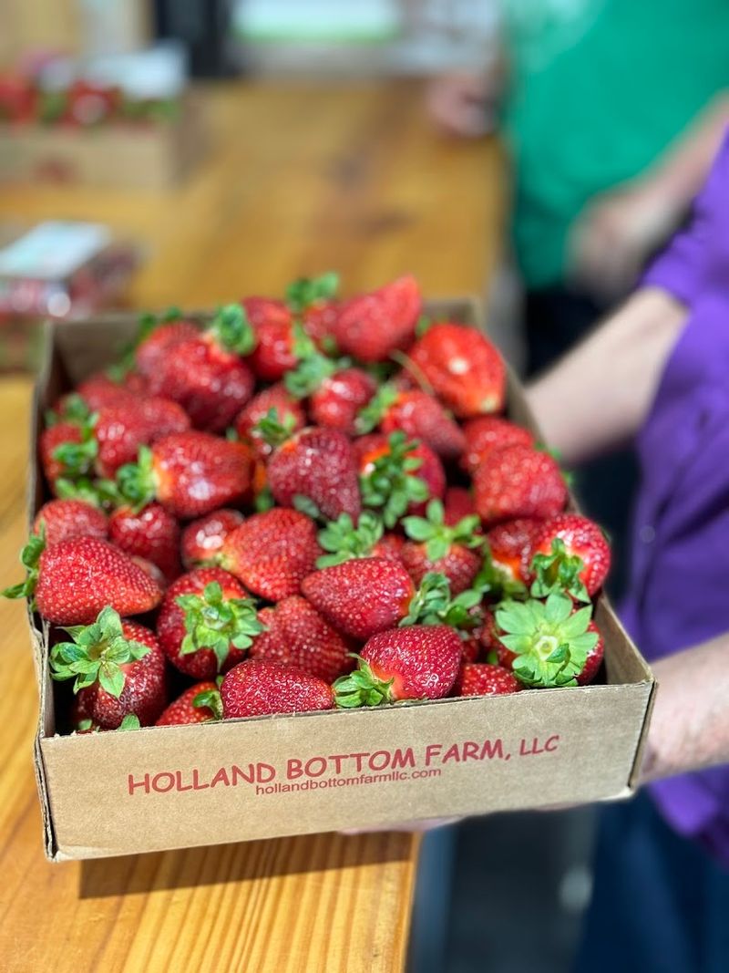 Handpicked Quality With No Long Transport