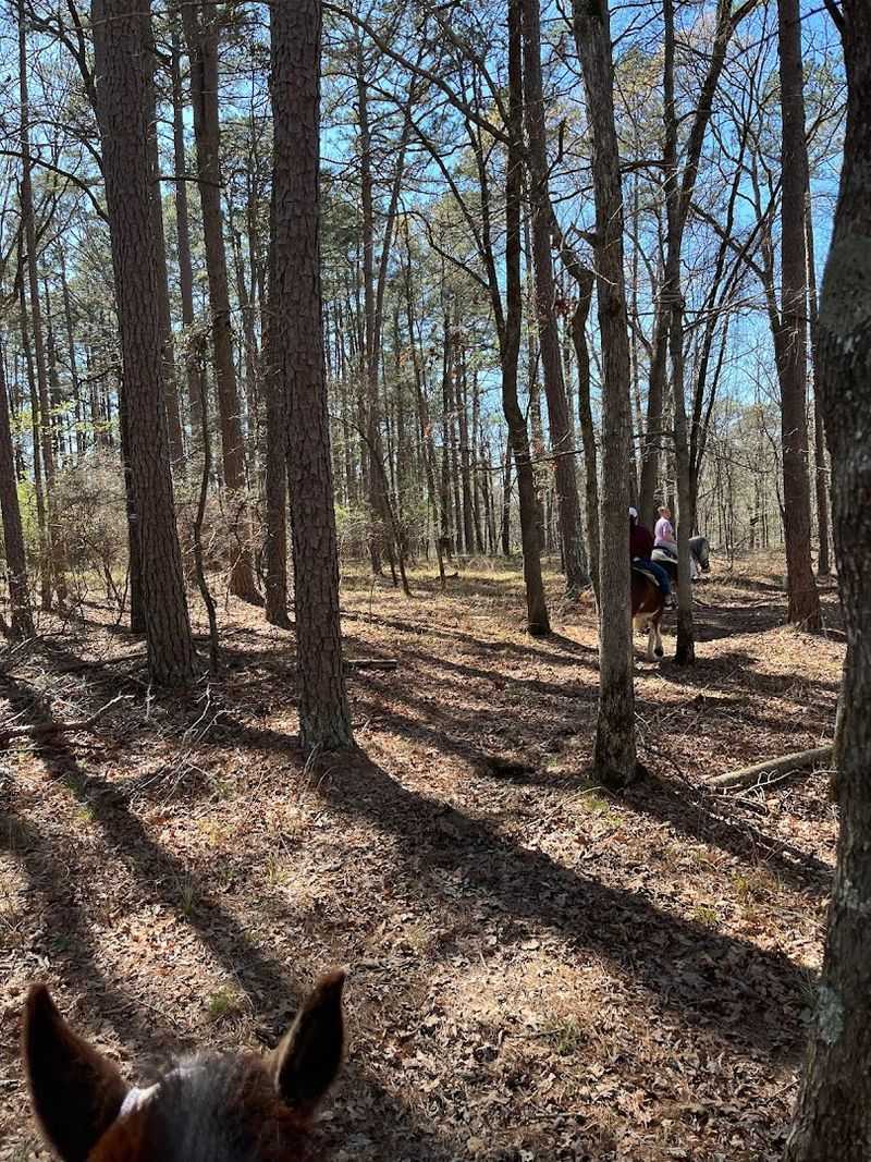 One Hour And Extended Ride Options With Relaxed Pace