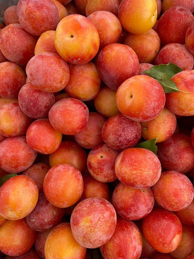 Pluots & Apriums, Designer Fruit That’s Too Good