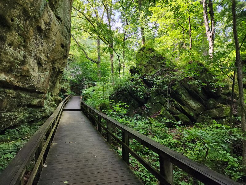 Surprisingly Accessible Paved Path Options