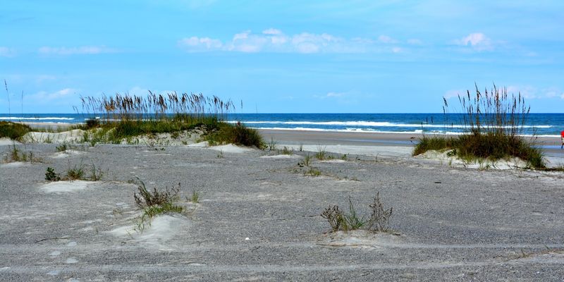 St. Augustine Beach And Anastasia Island: Nature Hiding In Plain Sight