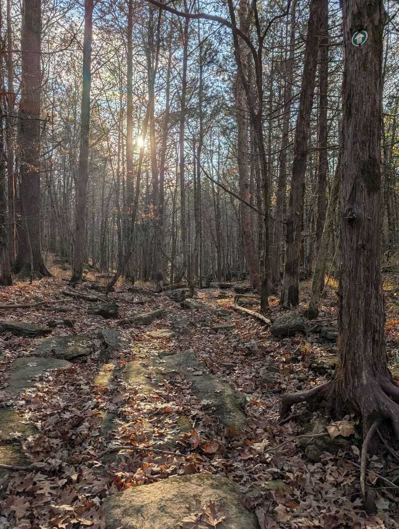 St. Francois State Park St. Francois State Park