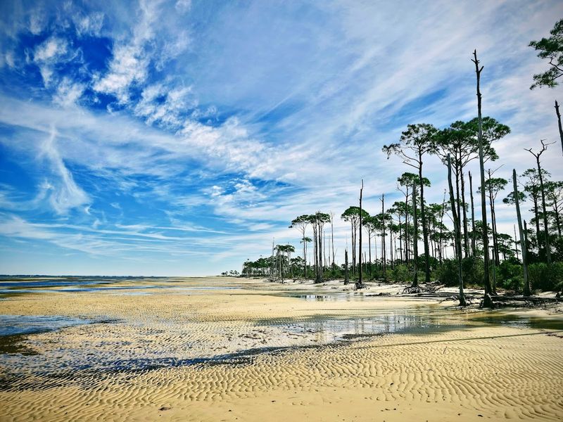 St. George Island State Park