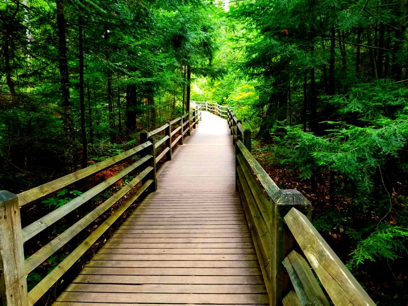 Tahquamenon Falls State Park