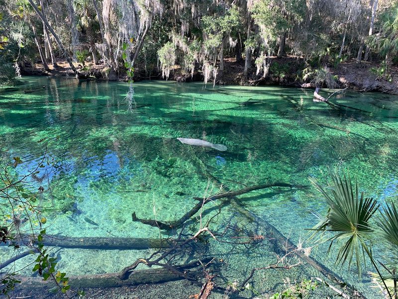 St. Johns River Basin, Blue Spring State Park, Orange City