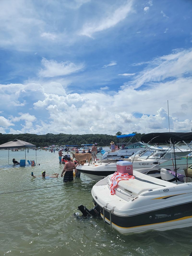 St. Johns River Ferry, Mayport Village To Fort George Island