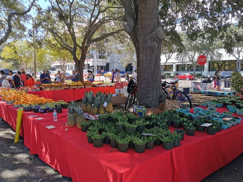 St. Petersburg Saturday Morning Market