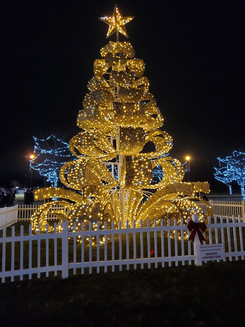 Romeoville Festival of Lights Holiday Market – Romeoville