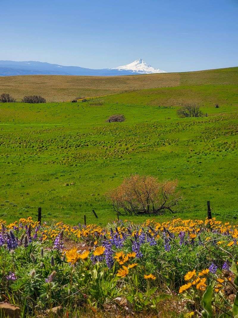 Stacker Butte Views Across to Oregon
