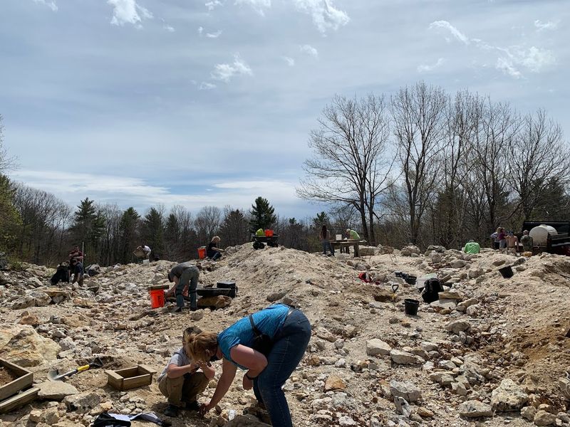 Mt. Mica Field Trips 