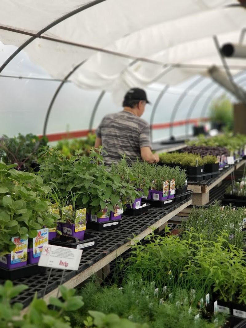 Staff Knowledge That Actually Saves Your Garden