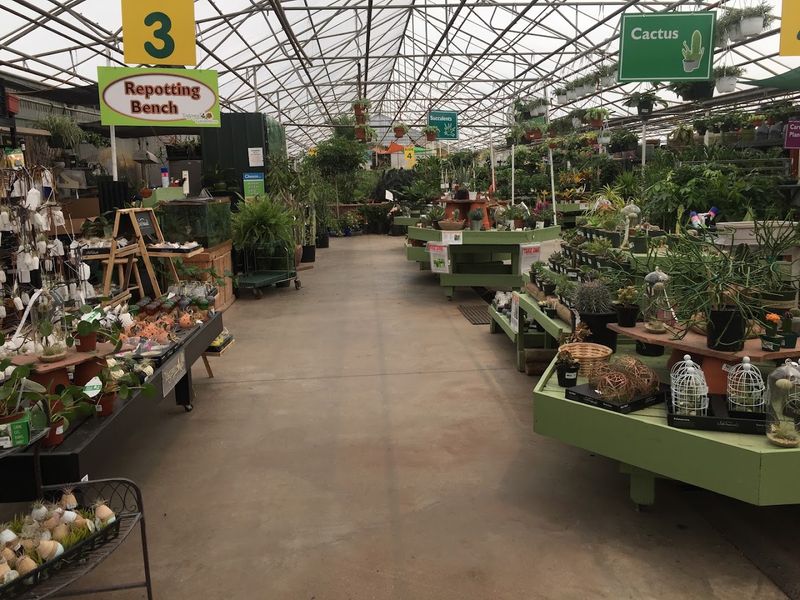 Staff Knowledge That Goes Well Beyond Basic Plant Care