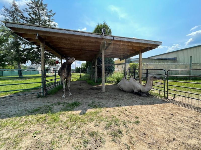 Clean Facilities and Well-Cared-For Animals