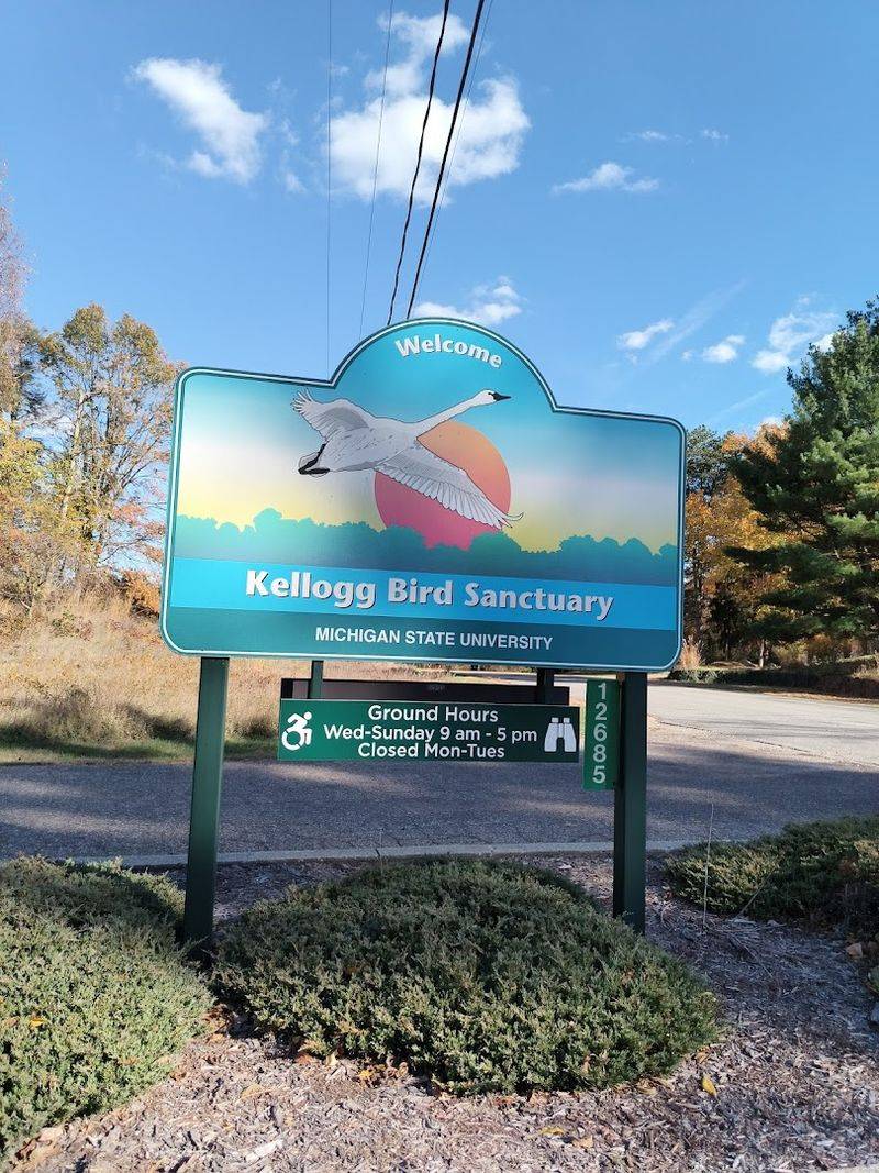 Parking, Fees, And Smooth Timing