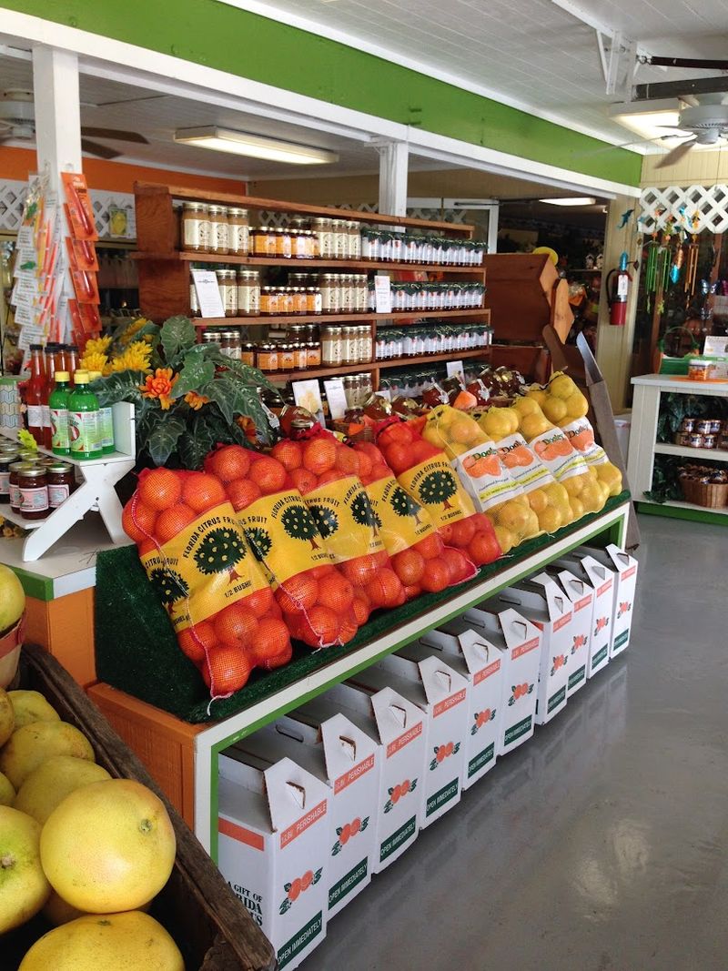 Fresh-Squeezed Orange Juice Is Available Right At The Farm