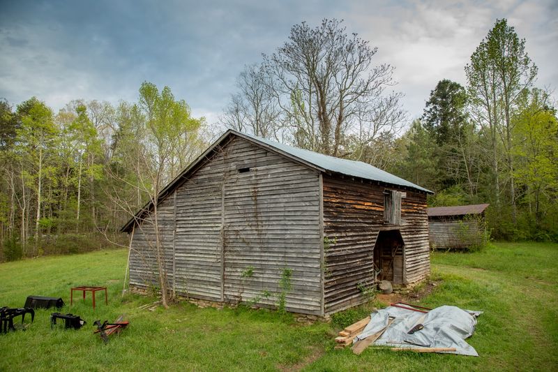 Picnic Tables Where Time Slows Down
