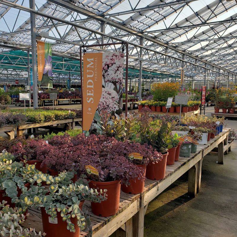 Staff Who Actually Know Their Plants